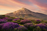 Damavand Poster och Canvastavla