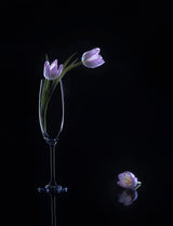 still life 74 Poster och Canvastavla