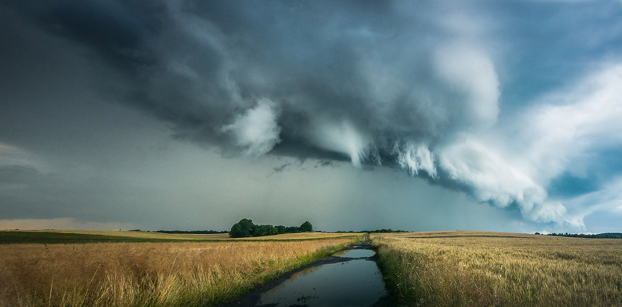 Before storm Poster och Canvastavla