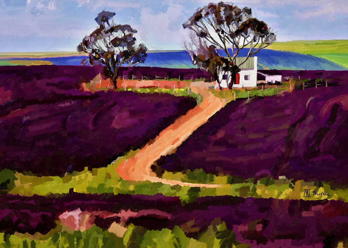 Lavender Fields Poster och Canvastavla
