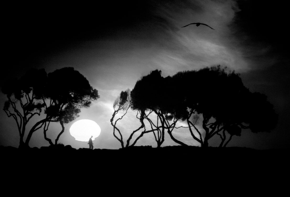 Setting Sun Poster och Canvastavla