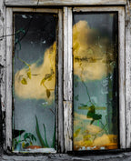 Window Poster och Canvastavla