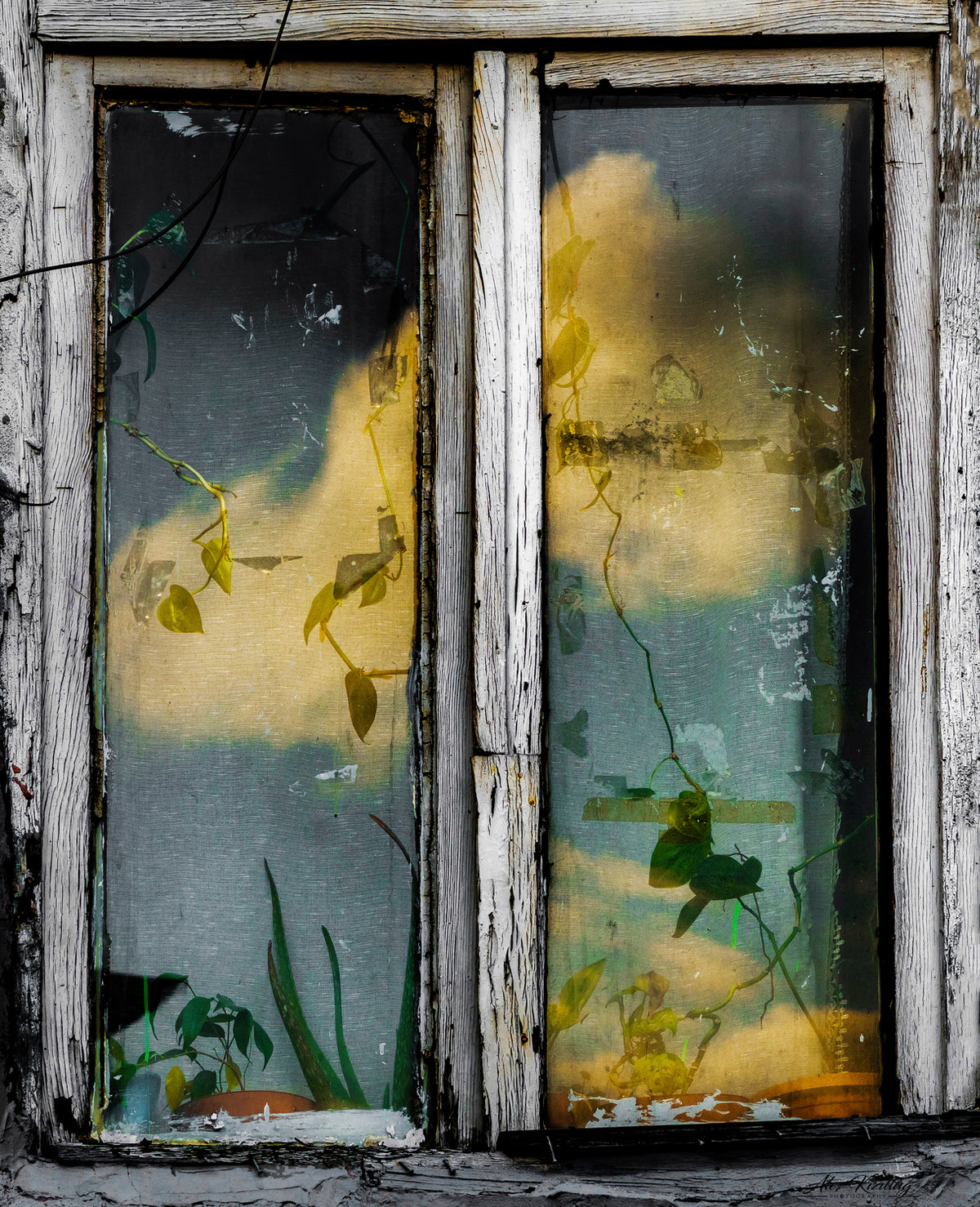 Window Poster och Canvastavla