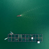 Sailing Poster och Canvastavla