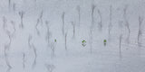 New Beginning Poster och Canvastavla