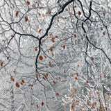 Last Leaves Poster och Canvastavla