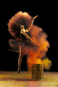 Flying Ballerina Poster och Canvastavla
