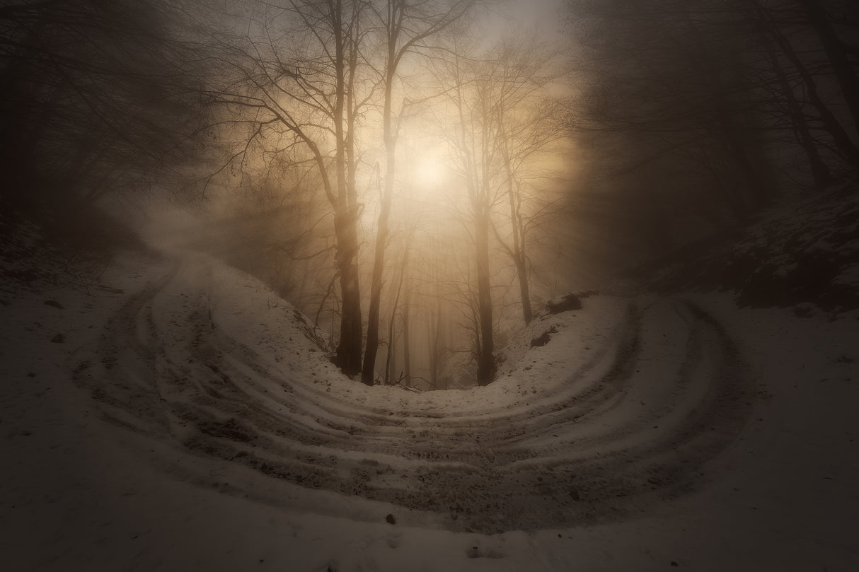 Sol Invictus Poster och Canvastavla