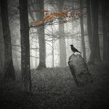 When the autumn is over Poster och Canvastavla
