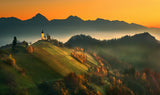 Slovenian autumn... Poster och Canvastavla