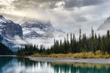 Morning in the Rockies Poster och Canvastavla