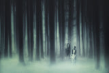 He had forest fairy Poster och Canvastavla