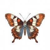 Butterfly 36 Poster och Canvastavla