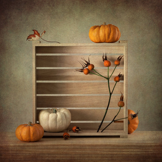 Autumn Box Poster och Canvastavla