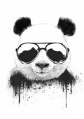 Stay Cool Poster och Canvastavla