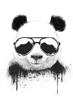 Stay Cool Poster och Canvastavla