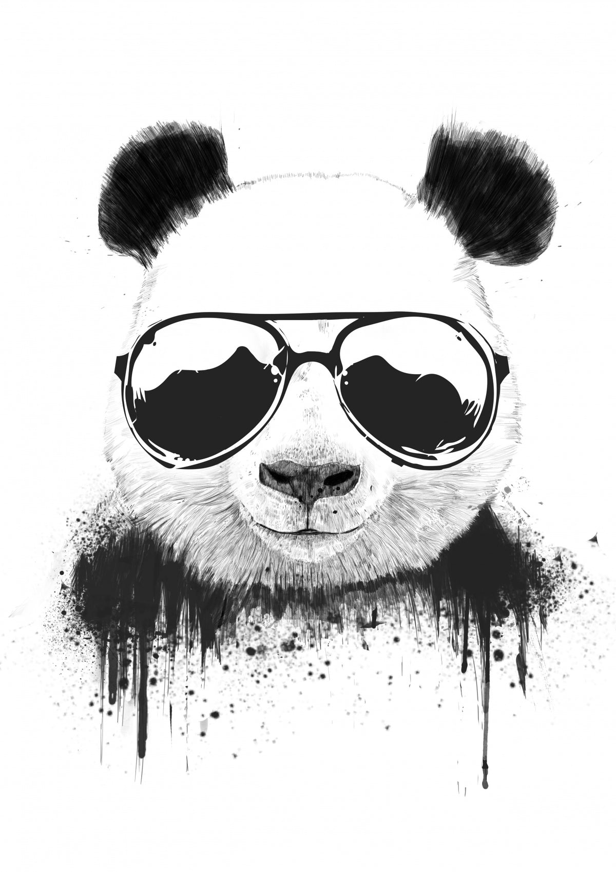 Stay Cool Poster och Canvastavla