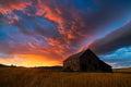 Witness of Sunset Poster och Canvastavla