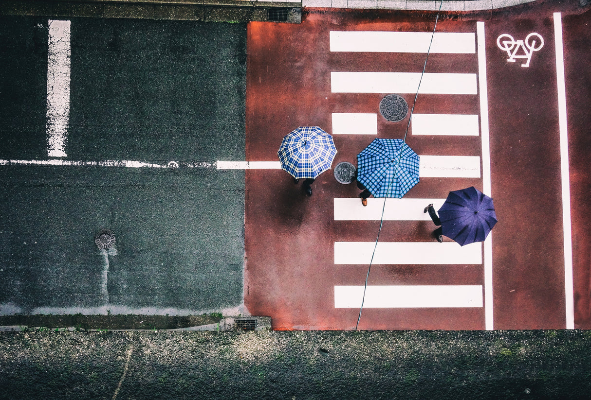 Three umbrellas Poster och Canvastavla