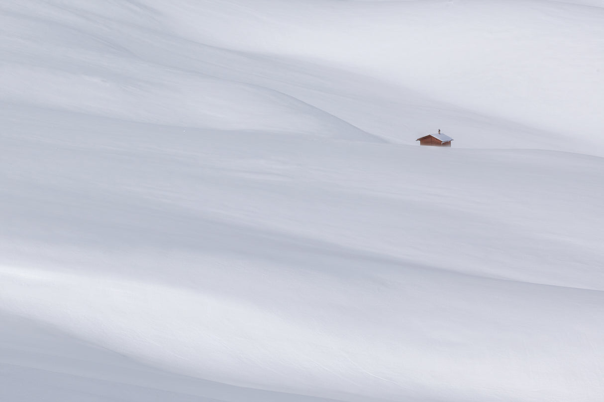 winter silence Poster och Canvastavla