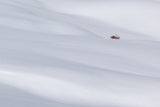 winter silence Poster och Canvastavla