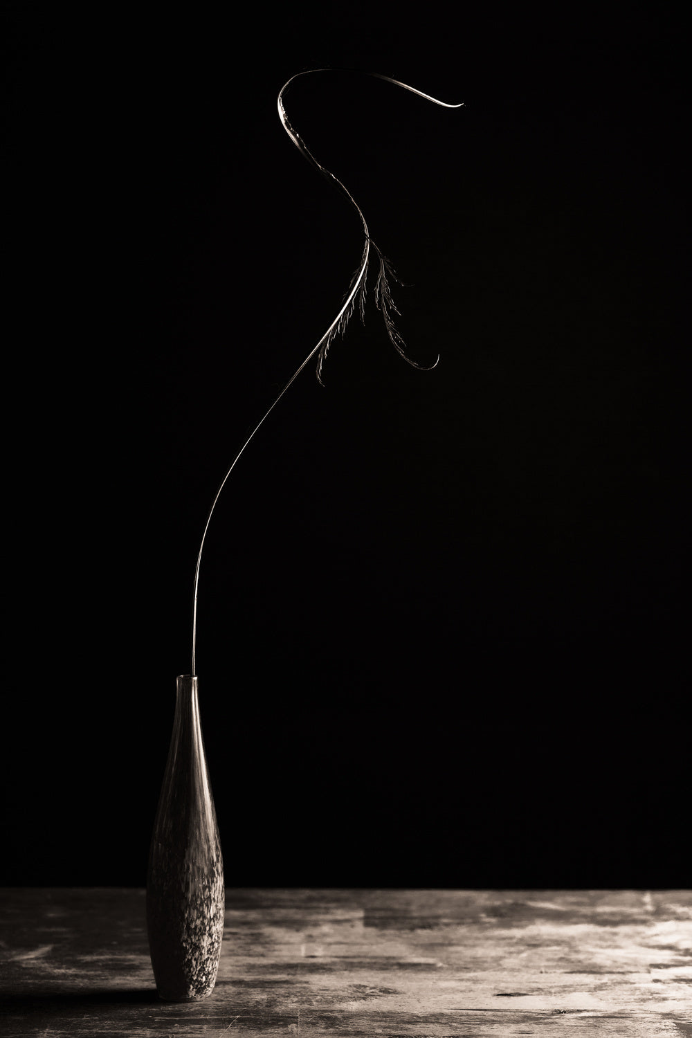 Curve II Poster och Canvastavla