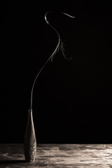 Curve II Poster och Canvastavla