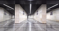 Moscow metro - Labyrinth Poster och Canvastavla