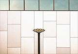 flower lamp Poster och Canvastavla