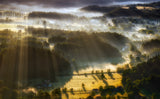 In the Morning Mists Poster och Canvastavla