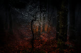 The grove at the first cold Poster och Canvastavla