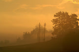 Morning mist. Poster och Canvastavla