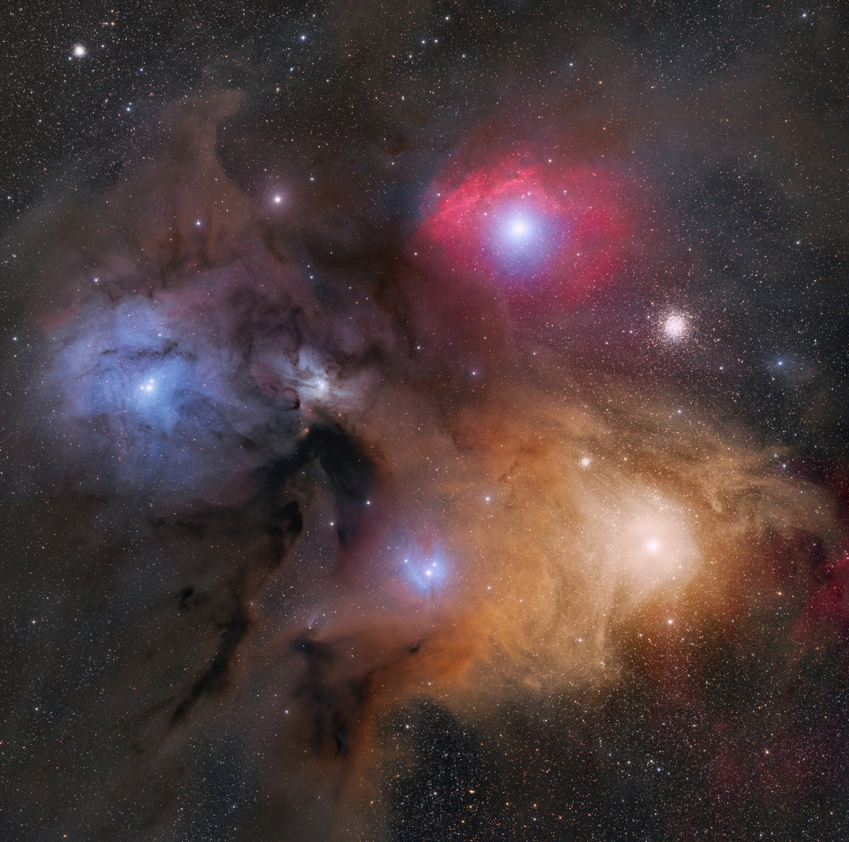 Rho Ophiuchi Cloud Complex Poster och Canvastavla
