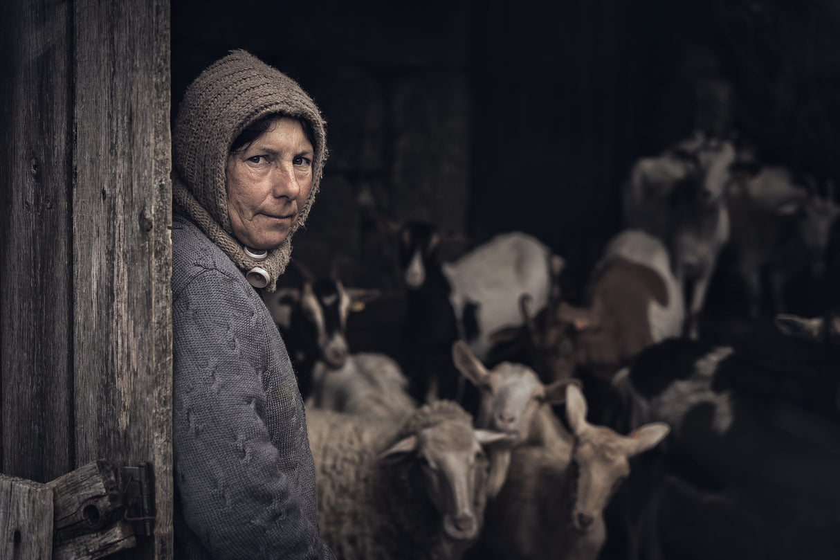 A pastora. Poster och Canvastavla