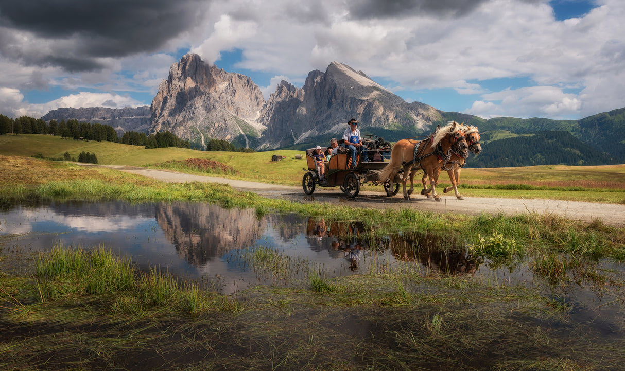 Horses and an old cottage. Poster och Canvastavla