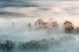 Winter fog Poster och Canvastavla
