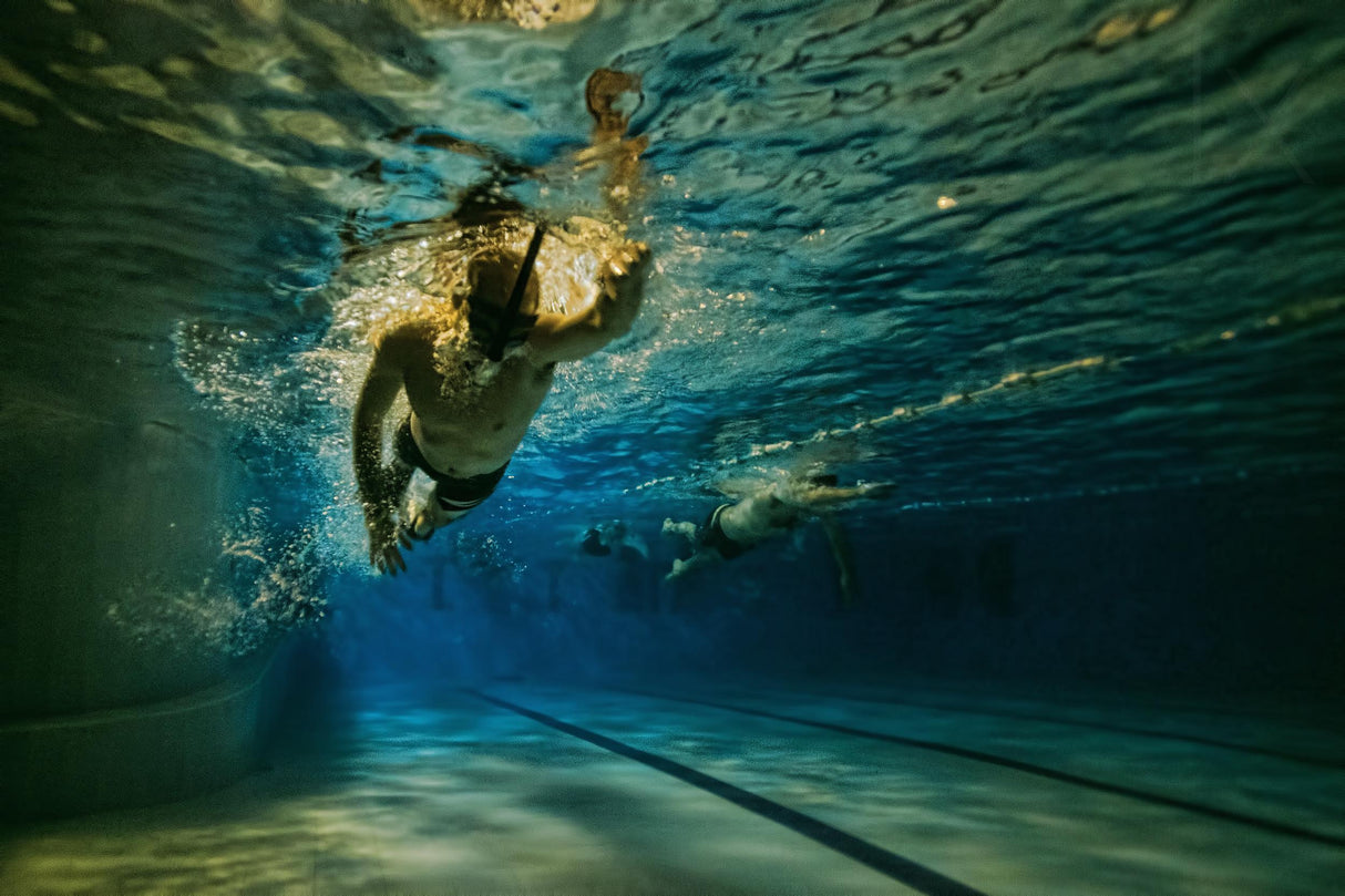 Night Swimmer Poster och Canvastavla