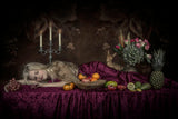 My still life of a sleeping beauty Poster och Canvastavla