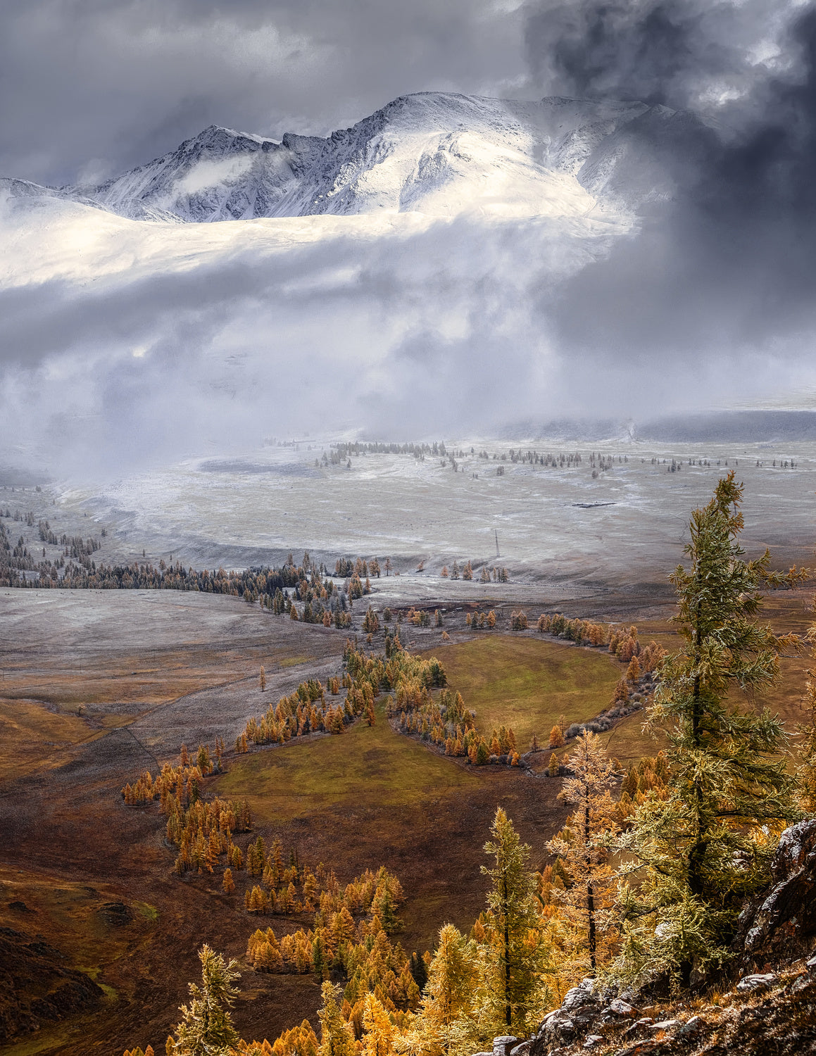 Meeting autumn with winter (Altai) Poster och Canvastavla