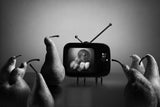 Tv show for adults Poster och Canvastavla