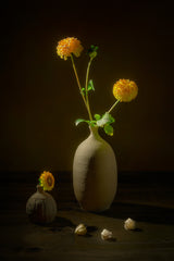 Groundcherry and Dahlias Poster och Canvastavla