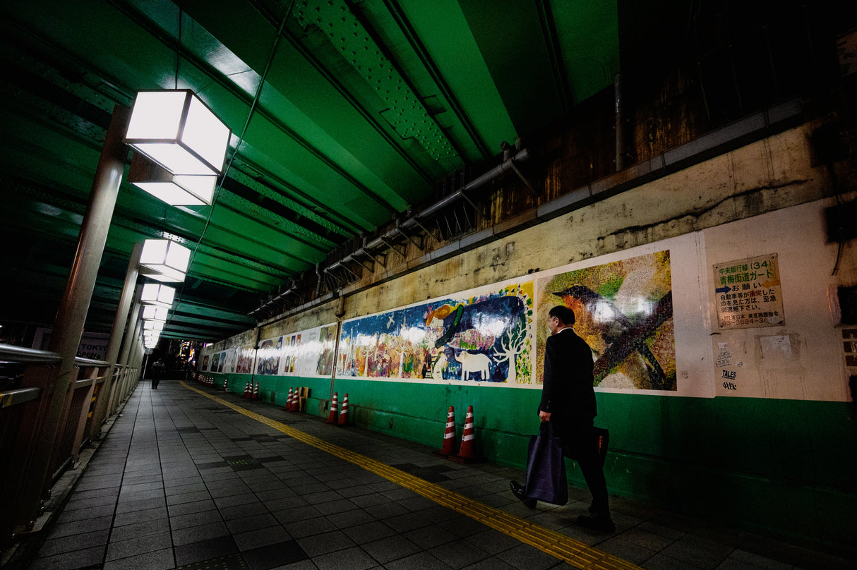 Going home by underpass Poster och Canvastavla