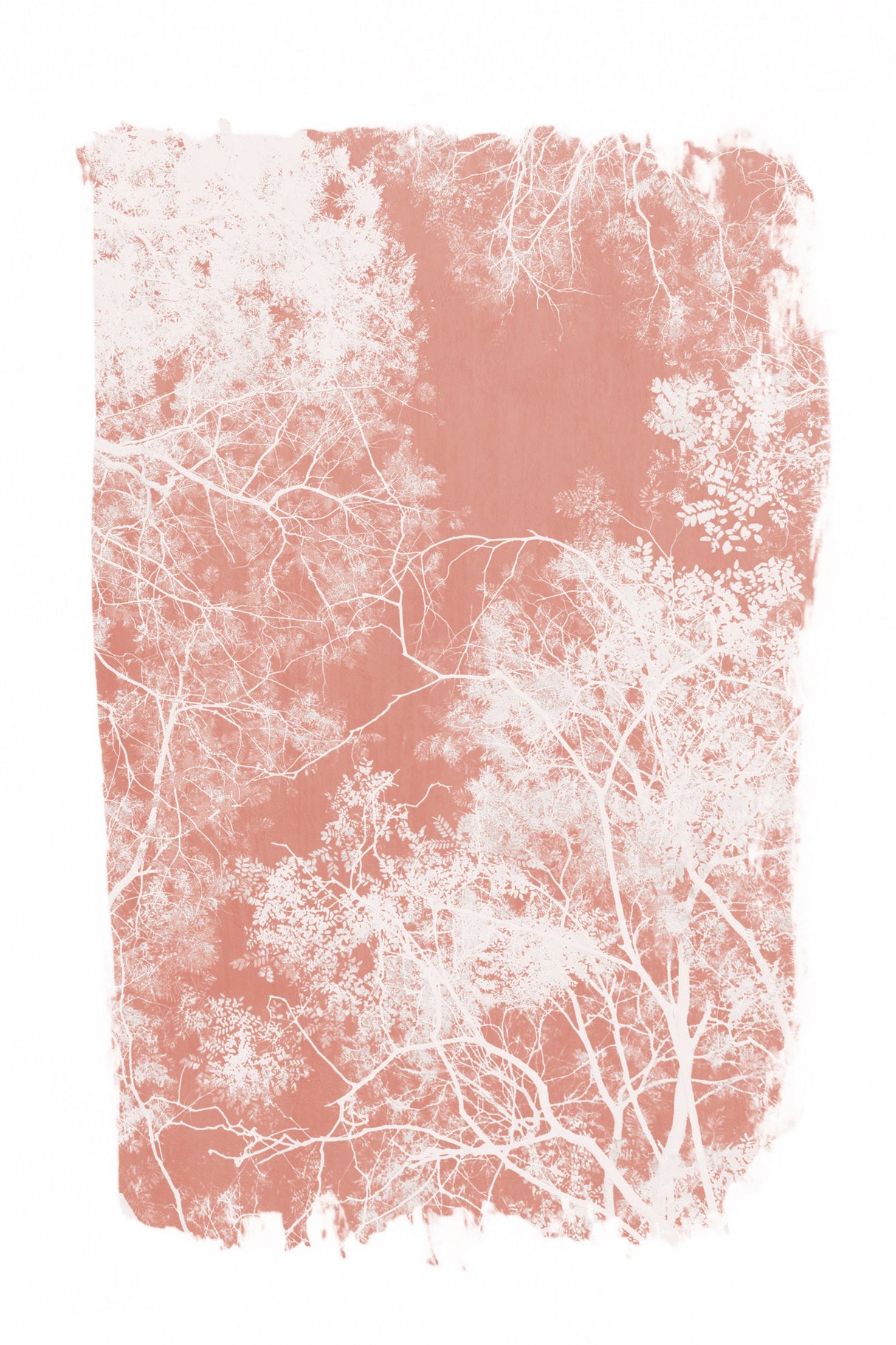 Pink Tree Foliage Silhouette Poster och Canvastavla