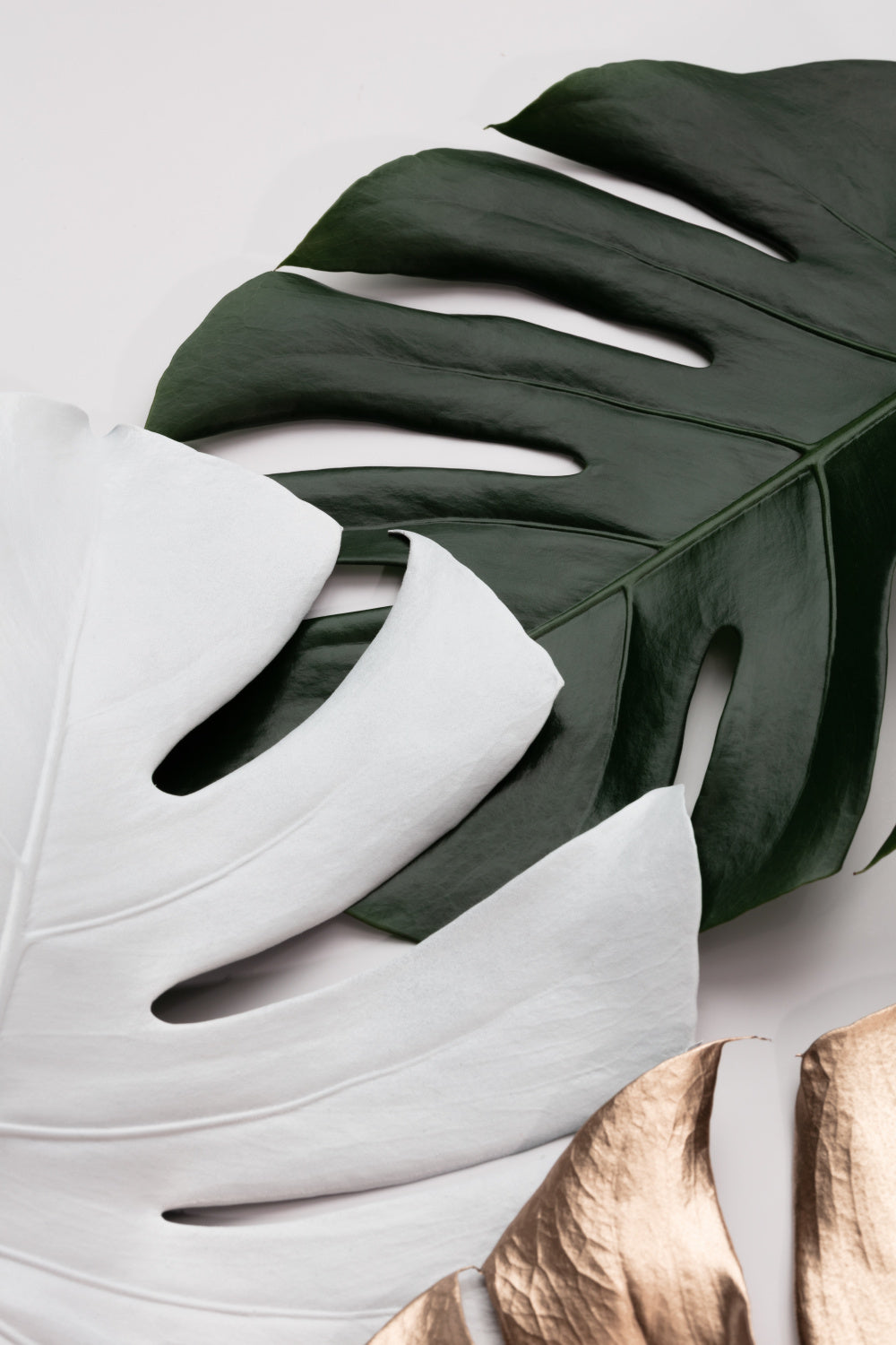 Monstera Colors 01 Poster och Canvastavla
