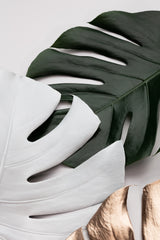 Monstera Colors 01 Poster och Canvastavla