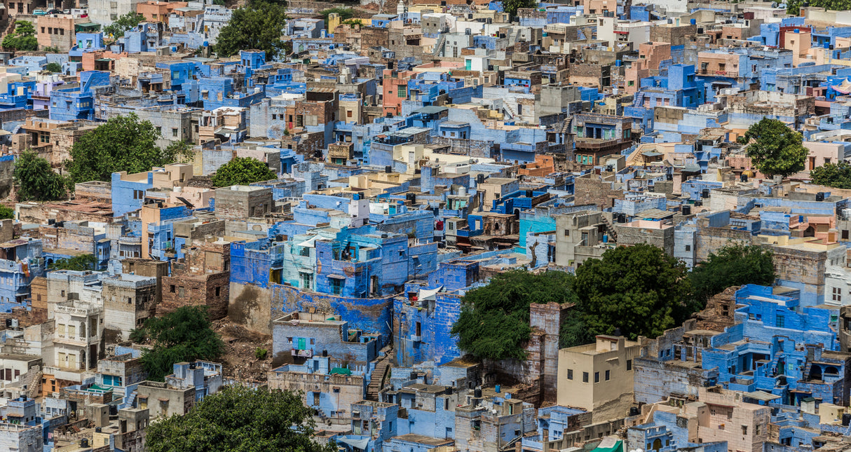 Jodhpur Poster och Canvastavla
