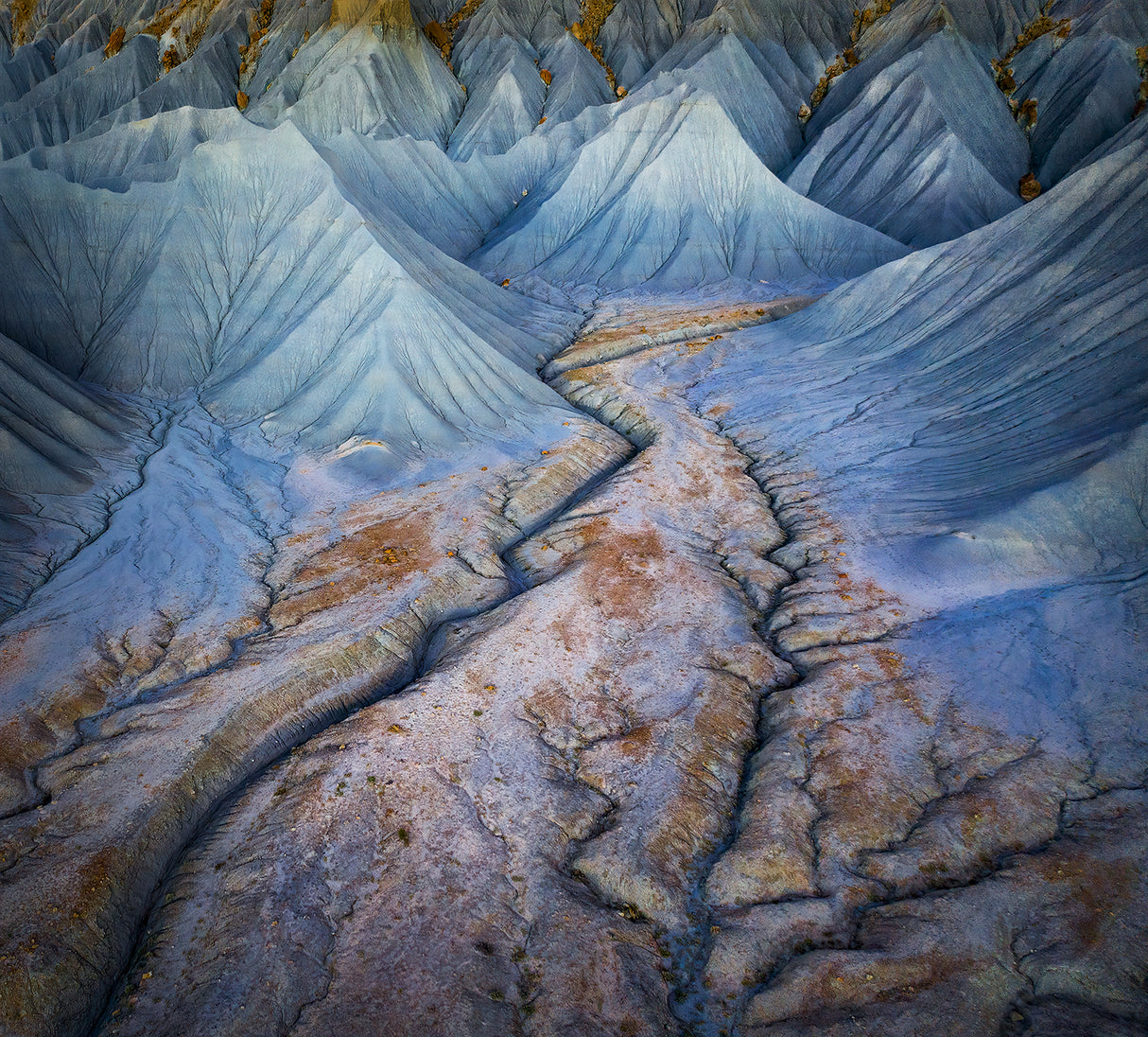 Blue Valley Poster och Canvastavla