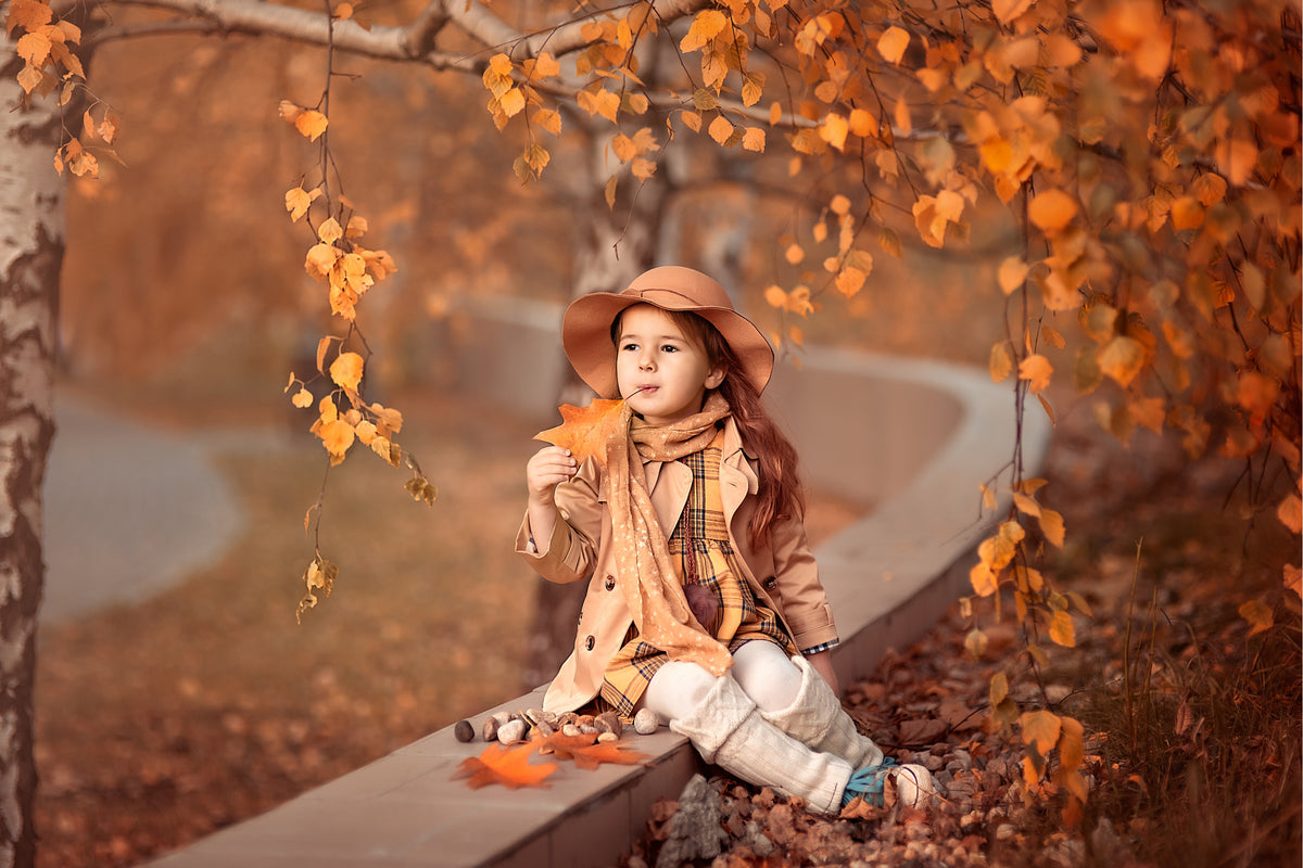 Autumn romantic Poster och Canvastavla