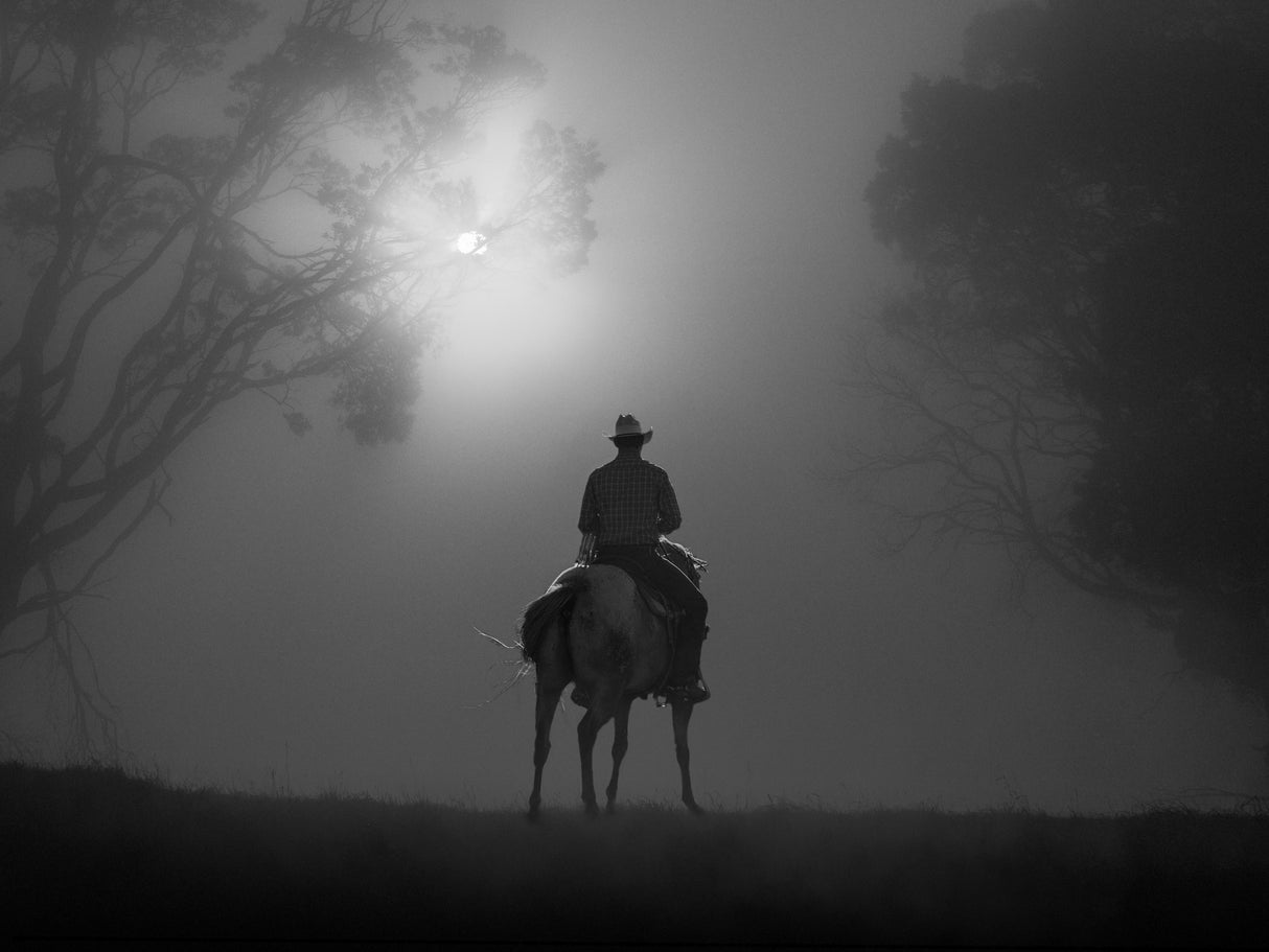 Riding in Dawn Mist Poster och Canvastavla