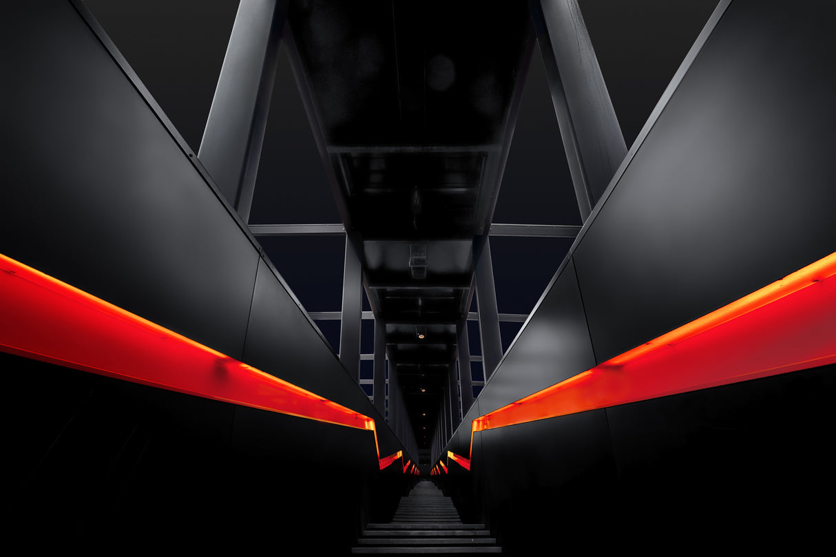 The Escalator Poster och Canvastavla